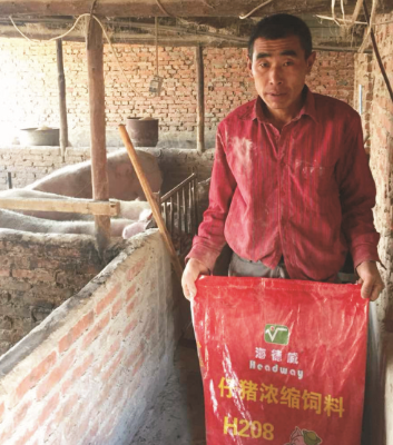 海德威仔豬濃縮料（H208）的實證案例二