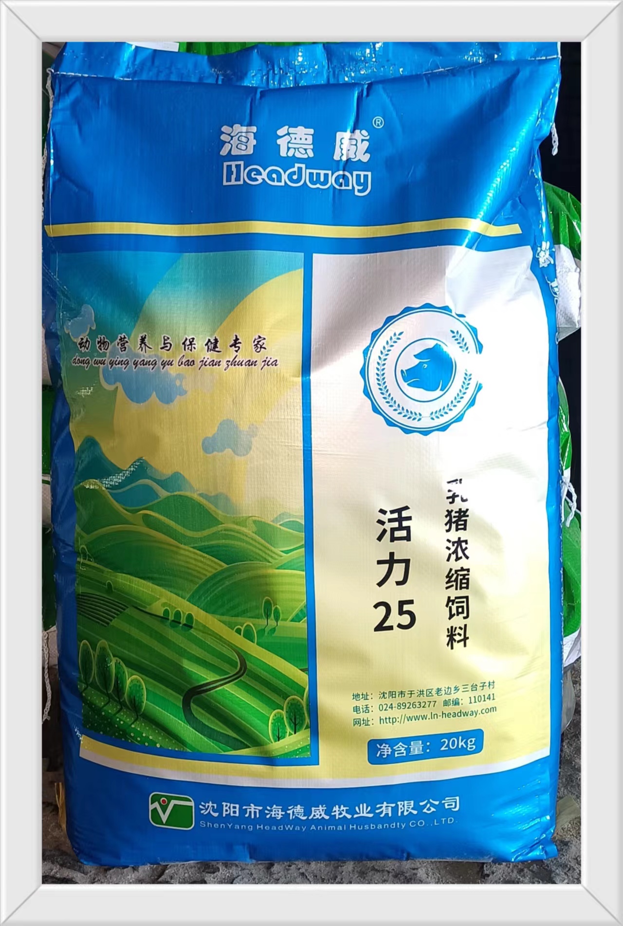 活力25